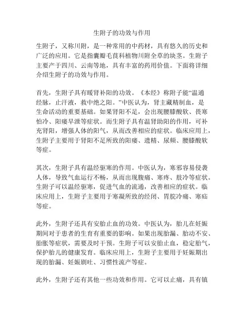 生附子的功效与作用