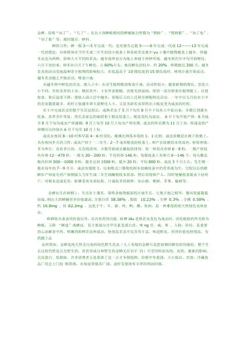 金蝉