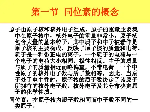 同位素质谱分析