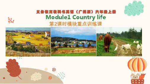 Module1Countrylife复习(课件)教科版(广州)英语六年级上册2