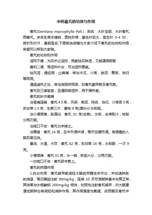 中药秦艽的功效与作用