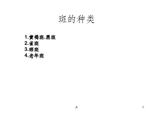 各种斑的分类