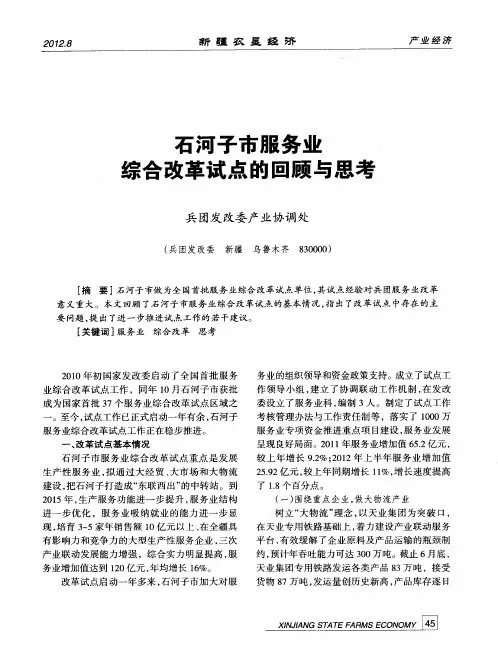 石河子市服务业综合改革试点的回顾与思考