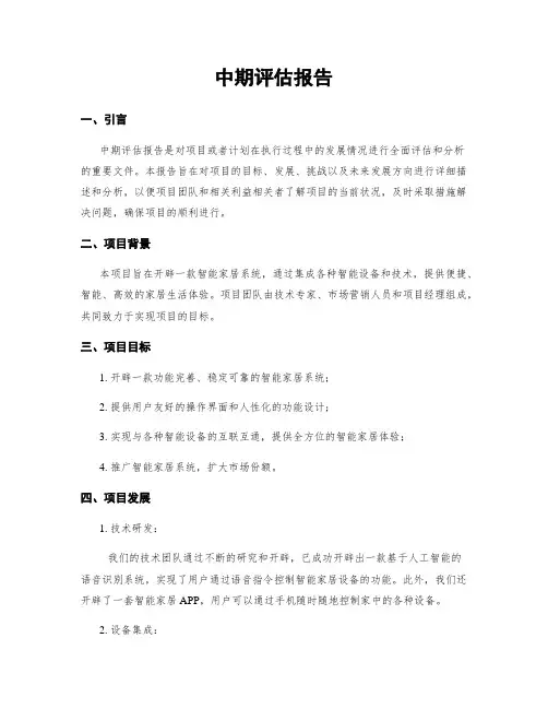 中期评估报告