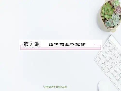 人体基因遗传的基本规律
