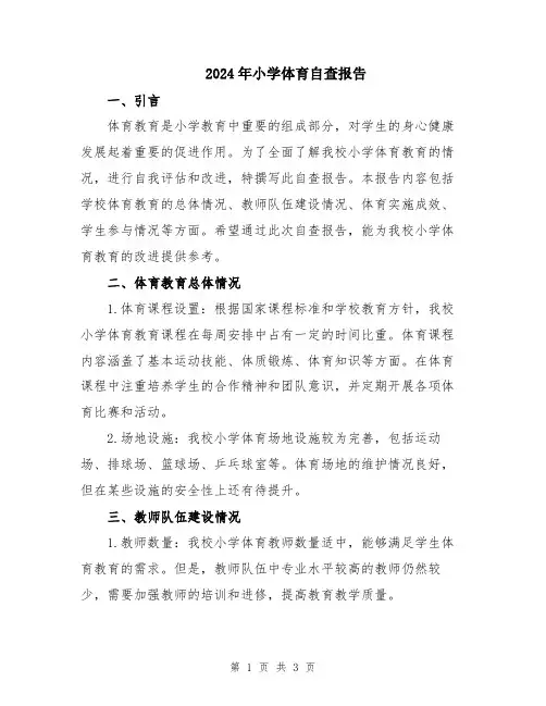 2024年小学体育自查报告