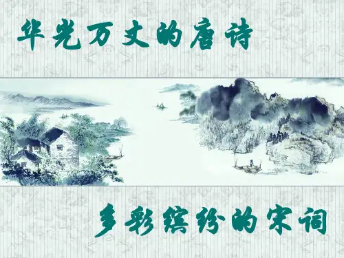 川教版-历史-七年级下册-第18课唐诗与宋词课件6