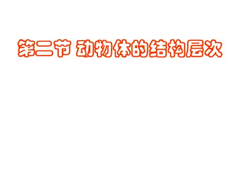 生物课件动物体的结构层次课件(人教版生物)