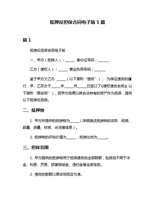 抵押反担保合同电子版5篇
