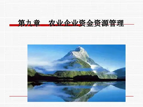 农业企业资金资源管理概述(共31张PPT)