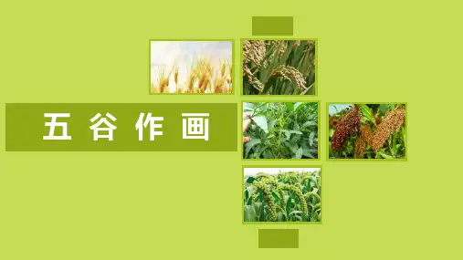 四年级美术下册《五谷作画》PPT精品课件,共9页