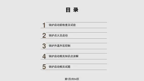 垃圾焚烧锅炉启动及注意事项PPT课件