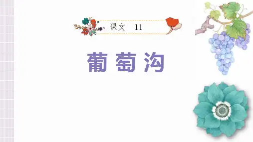 部编版二年级上册语文《葡萄沟》PPT说课教学课件