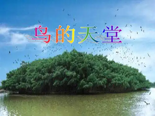3.《鸟的天堂》PPT课件