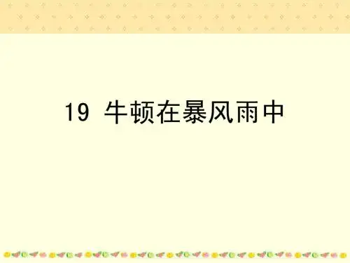 19牛顿在暴风雨中1