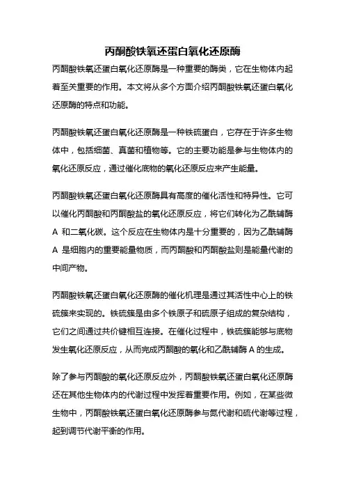 丙酮酸铁氧还蛋白氧化还原酶