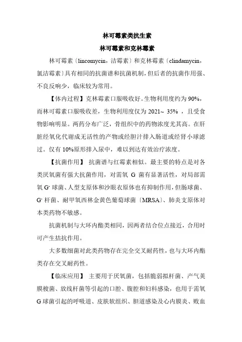 药学专业《林可霉素类抗生素》