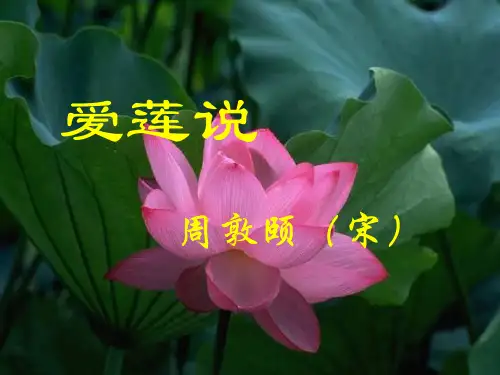 《爱莲说》优质课ppt课件