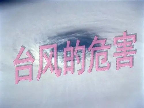 台风的危害