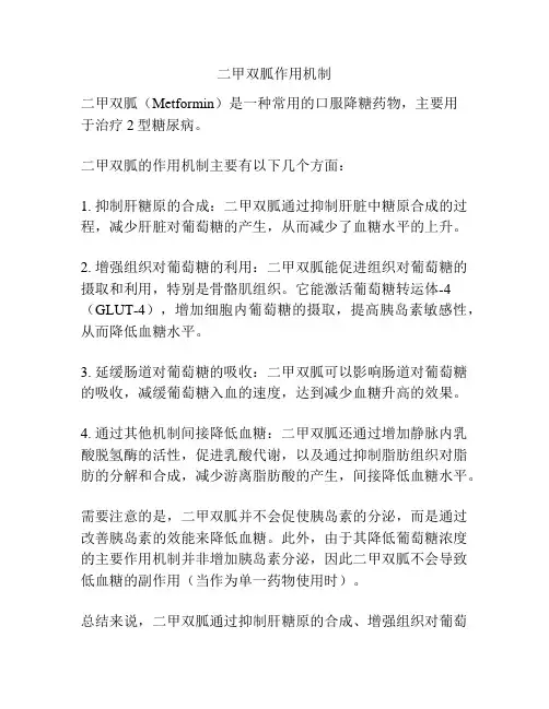 二甲双胍作用机制