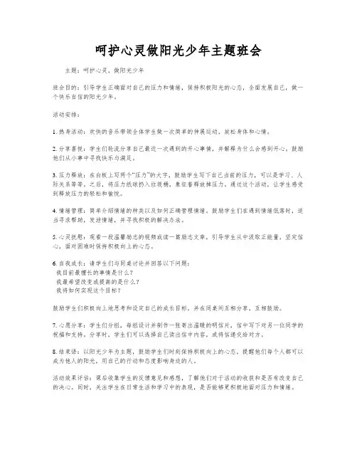 呵护心灵做阳光少年主题班会