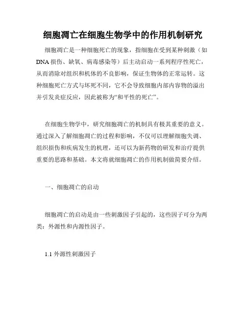 细胞凋亡在细胞生物学中的作用机制研究