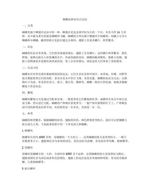 蝴蝶品种知识点总结