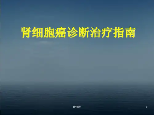 肾细胞癌诊断治疗指南  ppt课件