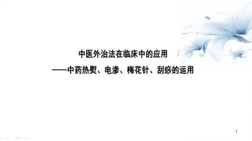 中医外治法在临床中的应用PPT精选课件