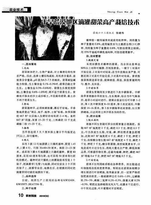 干旱荒漠地区滴灌甜菜高产栽培技术