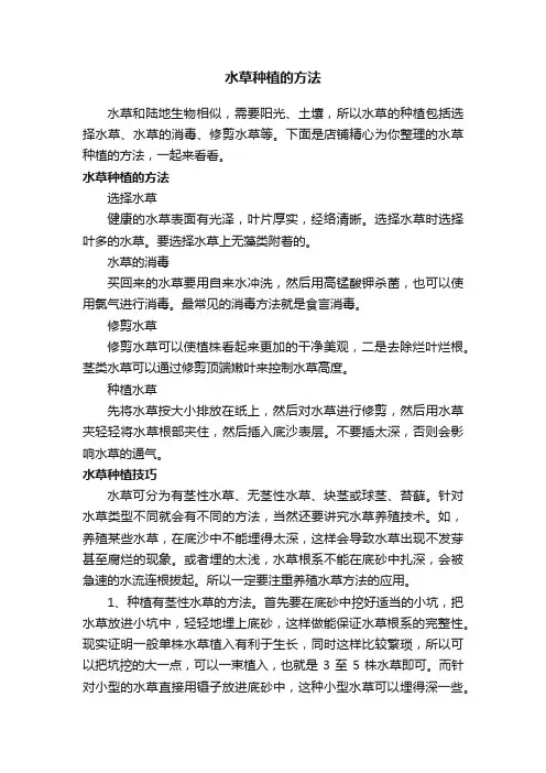 水草种植的方法