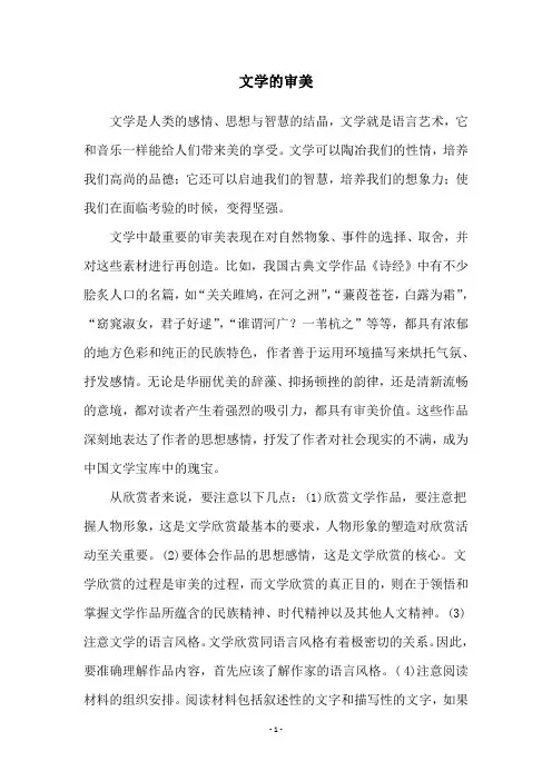 文学的审美