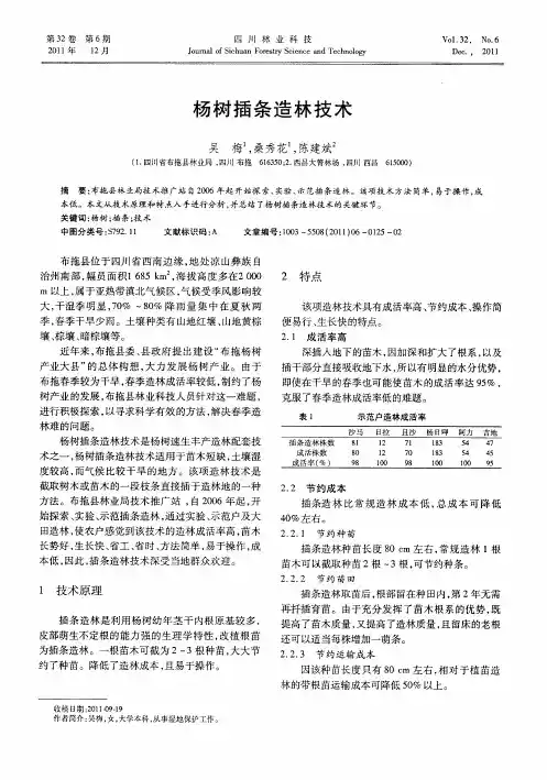 杨树插条造林技术