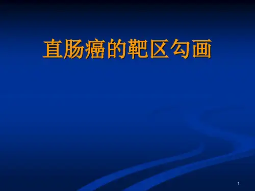 直肠癌的靶区勾画课件