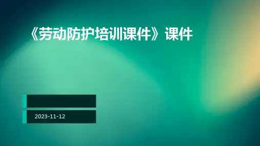 《劳动防护培训课件》课件