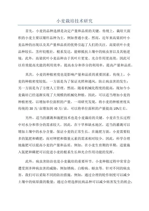 小麦栽培技术研究