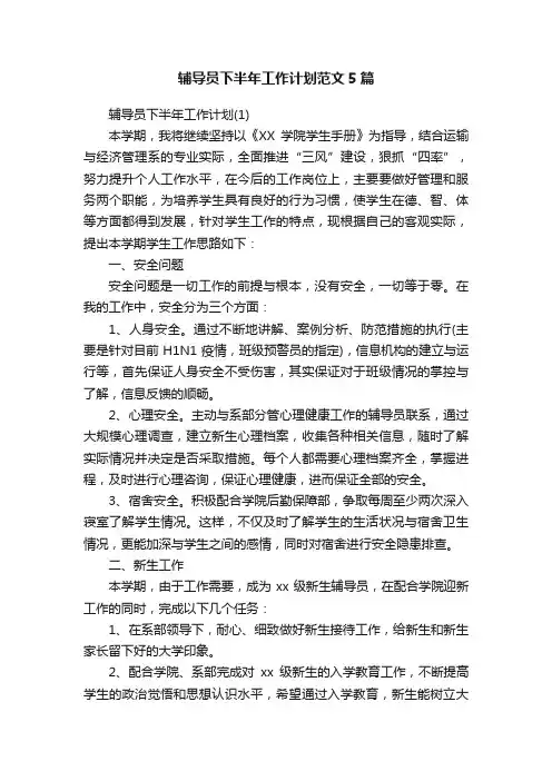 辅导员下半年工作计划范文5篇