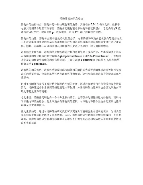 溶酶体的知识点总结