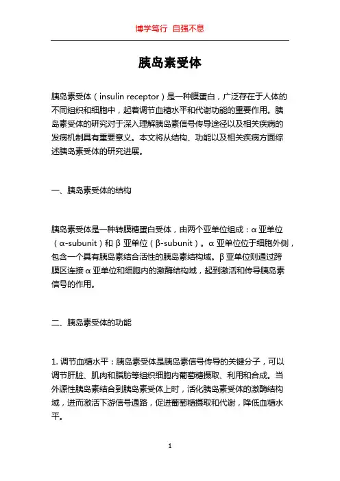 胰岛素受体