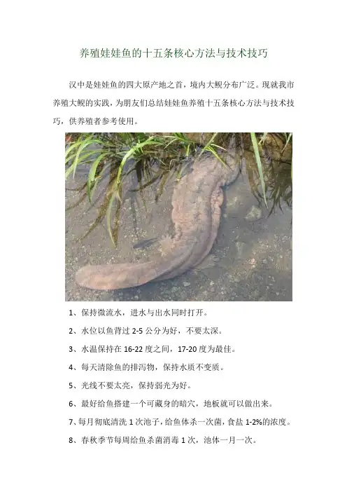 养殖娃娃鱼的十五条核心方法与技术技巧