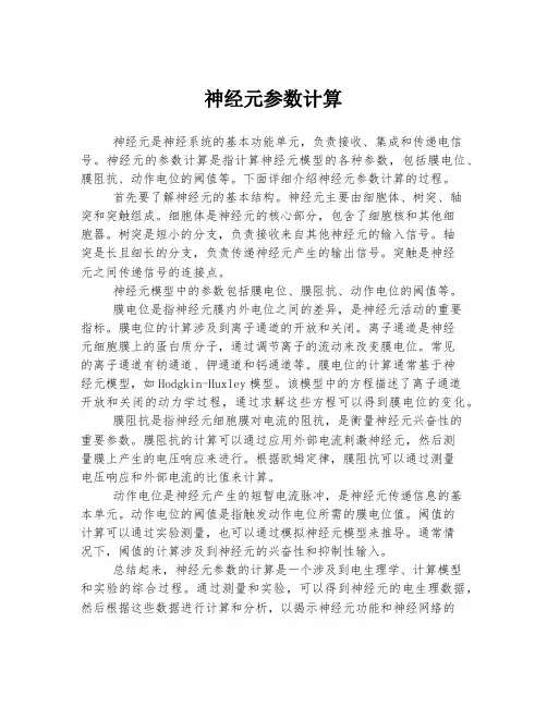 神经元参数计算
