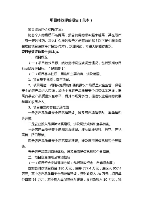 项目绩效评价报告（范本）