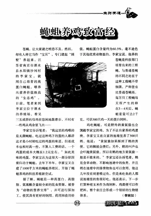 蝇蛆养鸡致富经