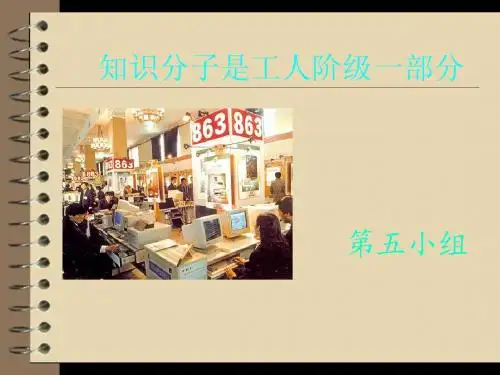 毛概作业ppt