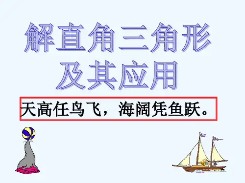 数学人教版九年级下册28.2.2解直角三角形的应用——坡度问题