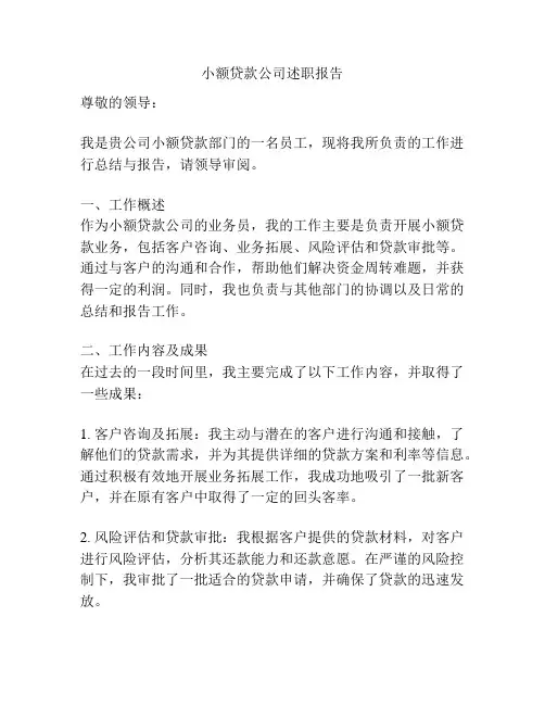 小额贷款公司述职报告