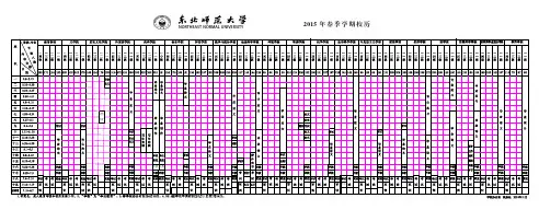 电动力学