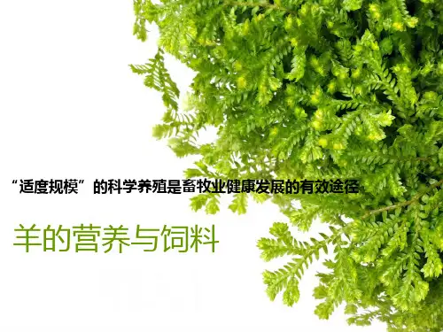 饲料配比方案