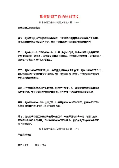 销售助理工作的计划范文5篇
