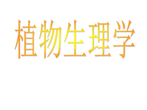植物的水分代谢.ppt